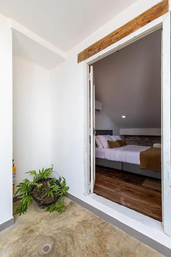 Fun House Pool & Rooftop Best Location Getsemani! Cartagena Colombia